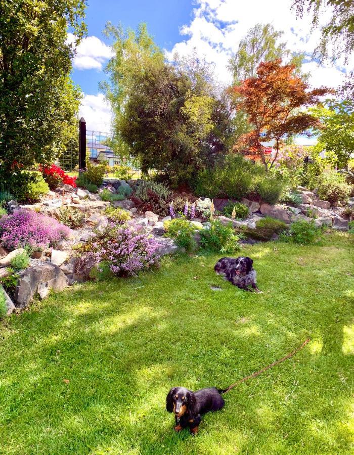 Tailor Made Tekapo Accommodation - Hostel Lake Tekapo Exterior photo