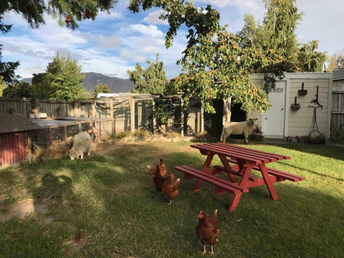 Tailor Made Tekapo Accommodation - Hostel Lake Tekapo Exterior photo